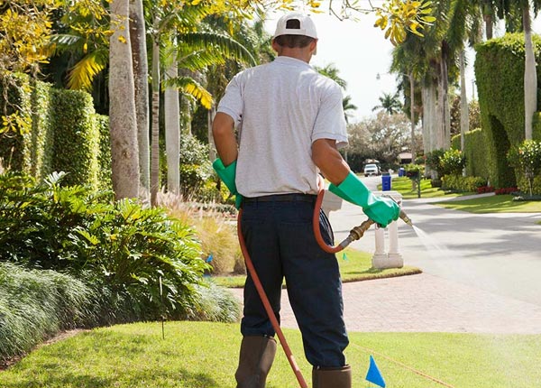 About Olivia MN Pest Control